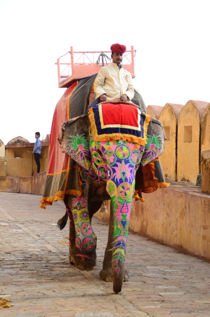 amber palace, india, elephant-787713.jpg